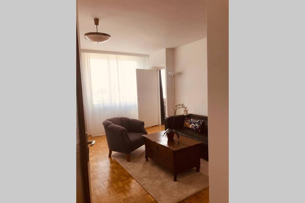 Apartment Mitten Im Achten. Zentrale In Vienna